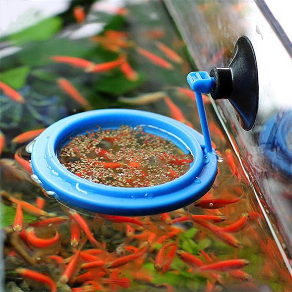 Aquarium Plant Nutrients - Anneau d'Alimentation pour Aquarium, Station Précieuse,