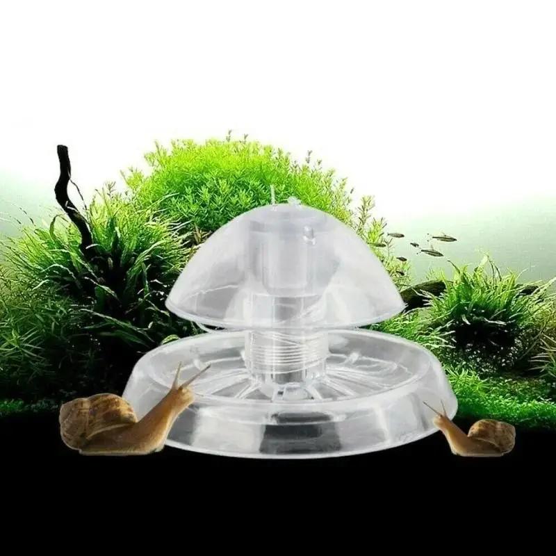 Planted Aquarium Cleaning - Nouvelle boîte piège à escargots en