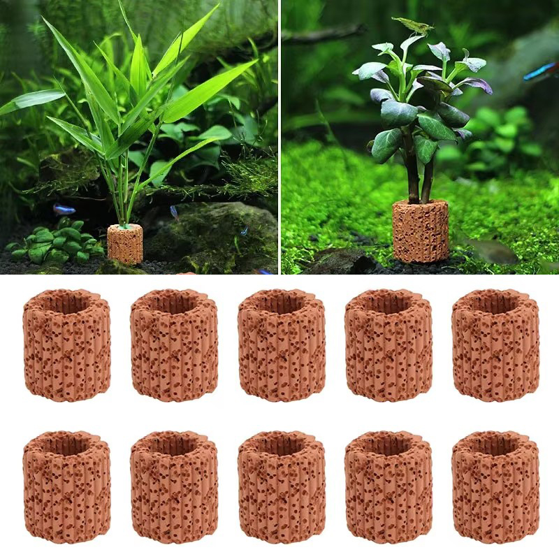 Aquarium Plant Utensils - Anneau fixe pour plantes aquatiques, pour
