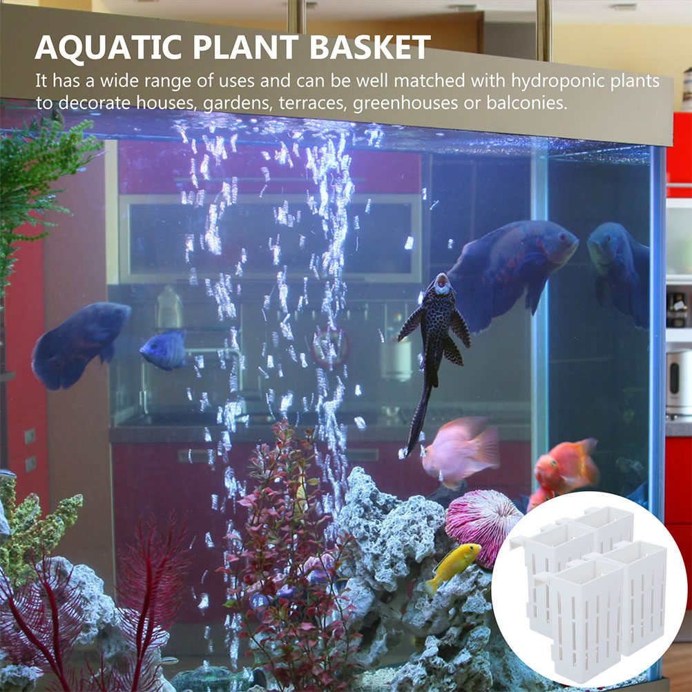 Aquarium Plant Nutrients - 4 pièces de supports pour plantes