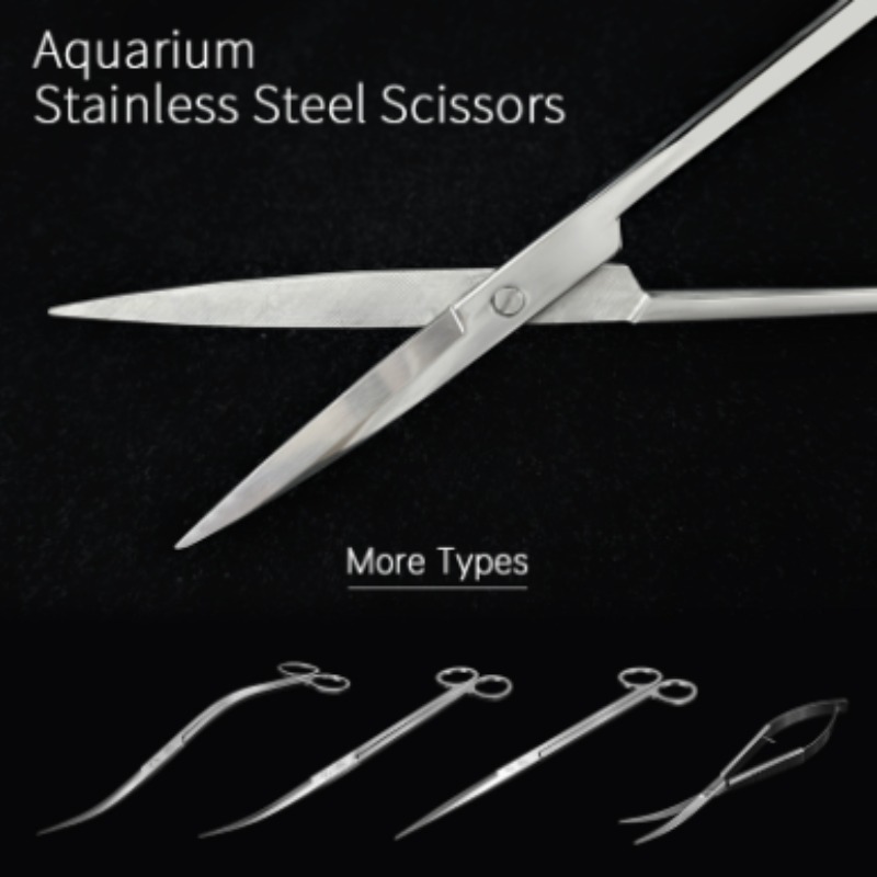 Aquarium Plant Utensils - Ciseaux aquatiques en acier inoxydable Week