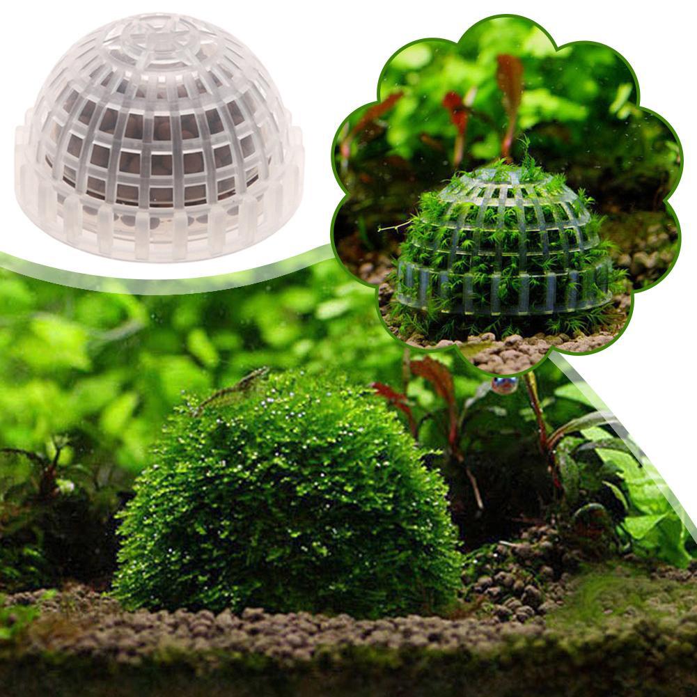 Aquarium Plant Red - Support de boule de Bio mousse
