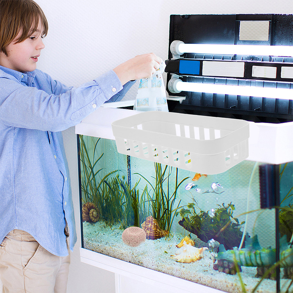 Live Plant Aquarium Set Up - Support de plantes suspendu perforé pour