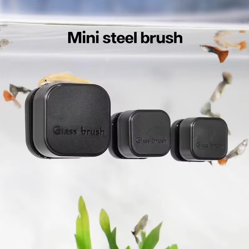 Planted Aquarium Cleaning - Mini brosse magnétique carrée, nettoyage magnétique