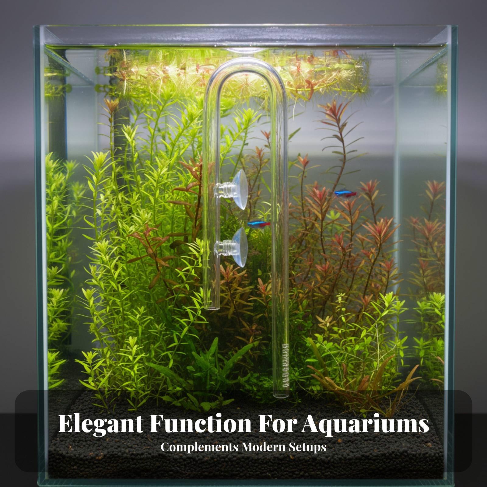 Élégant tuyau d'entrée d'eau e - Aquarium Plant Nutrients avis et prix