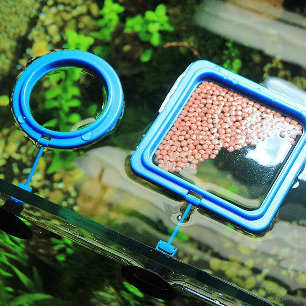 Anneau d'Alimentation pour Aqu - Aquarium Plant Nutrients avis et prix