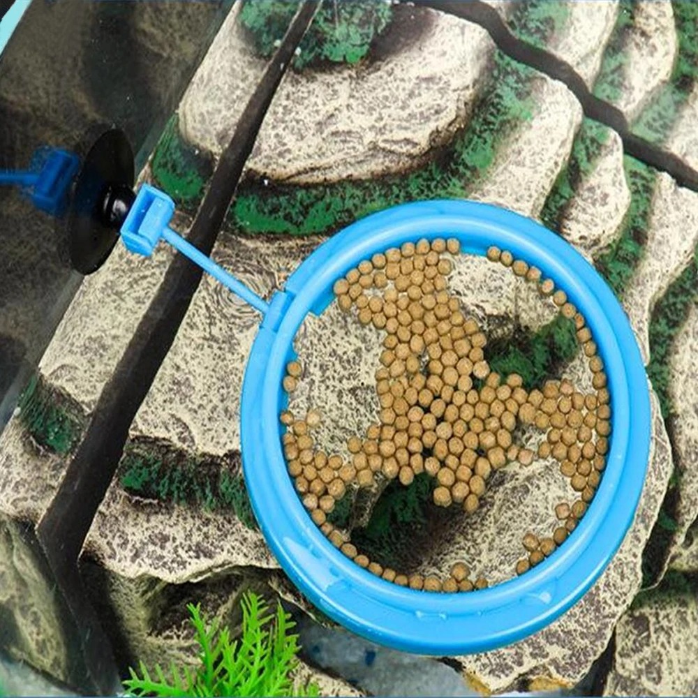 Anneau d'Alimentation pour Aqu - Aquarium Plant Nutrients avis et prix