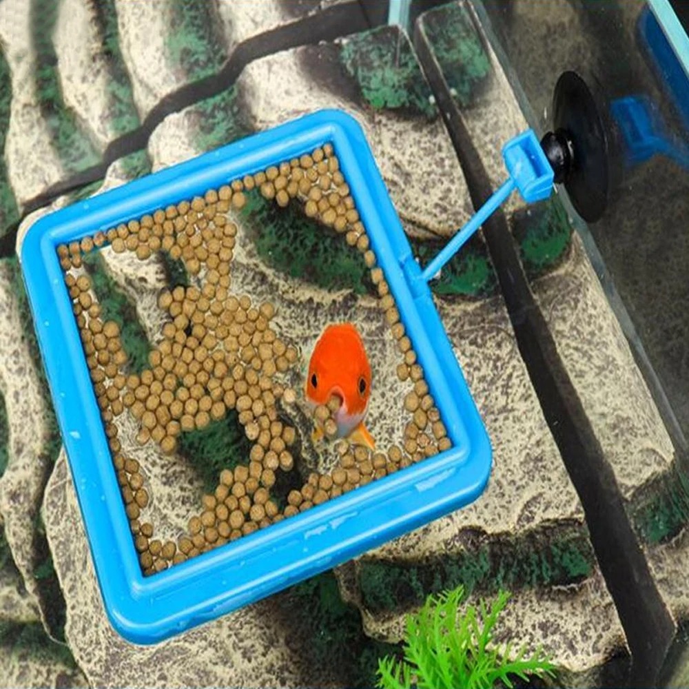 Anneau d'Alimentation pour Aqu - Aquarium Plant Nutrients avis et prix