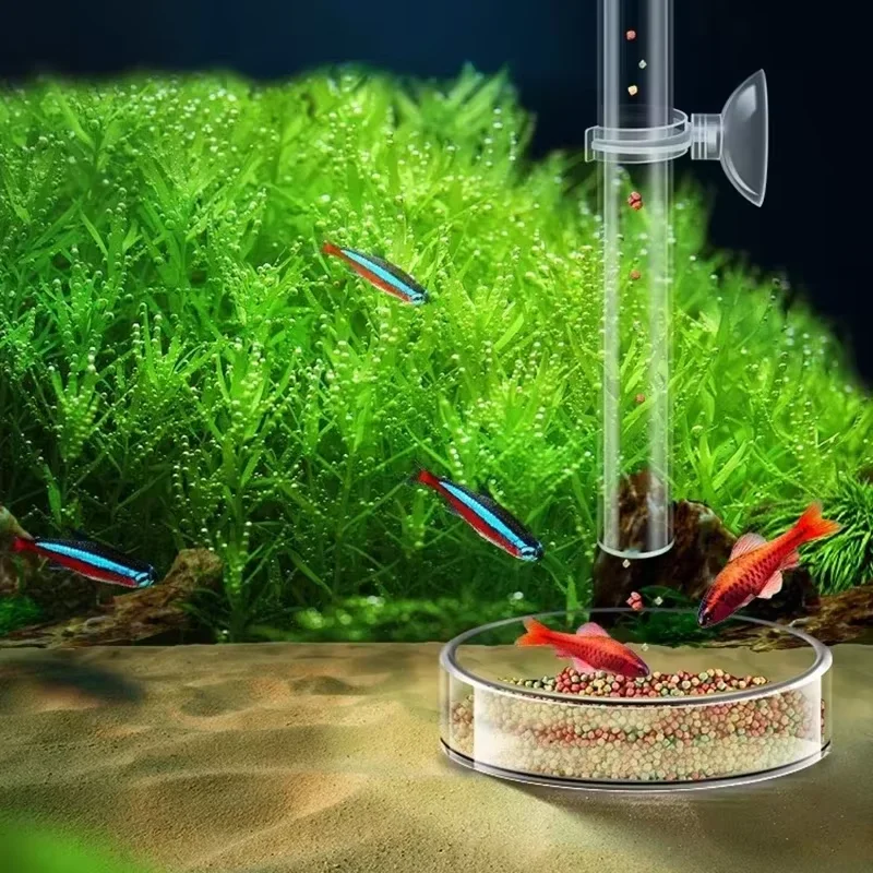 Tube d'alimentation en verre p - Aquarium Plant Red avis et prix