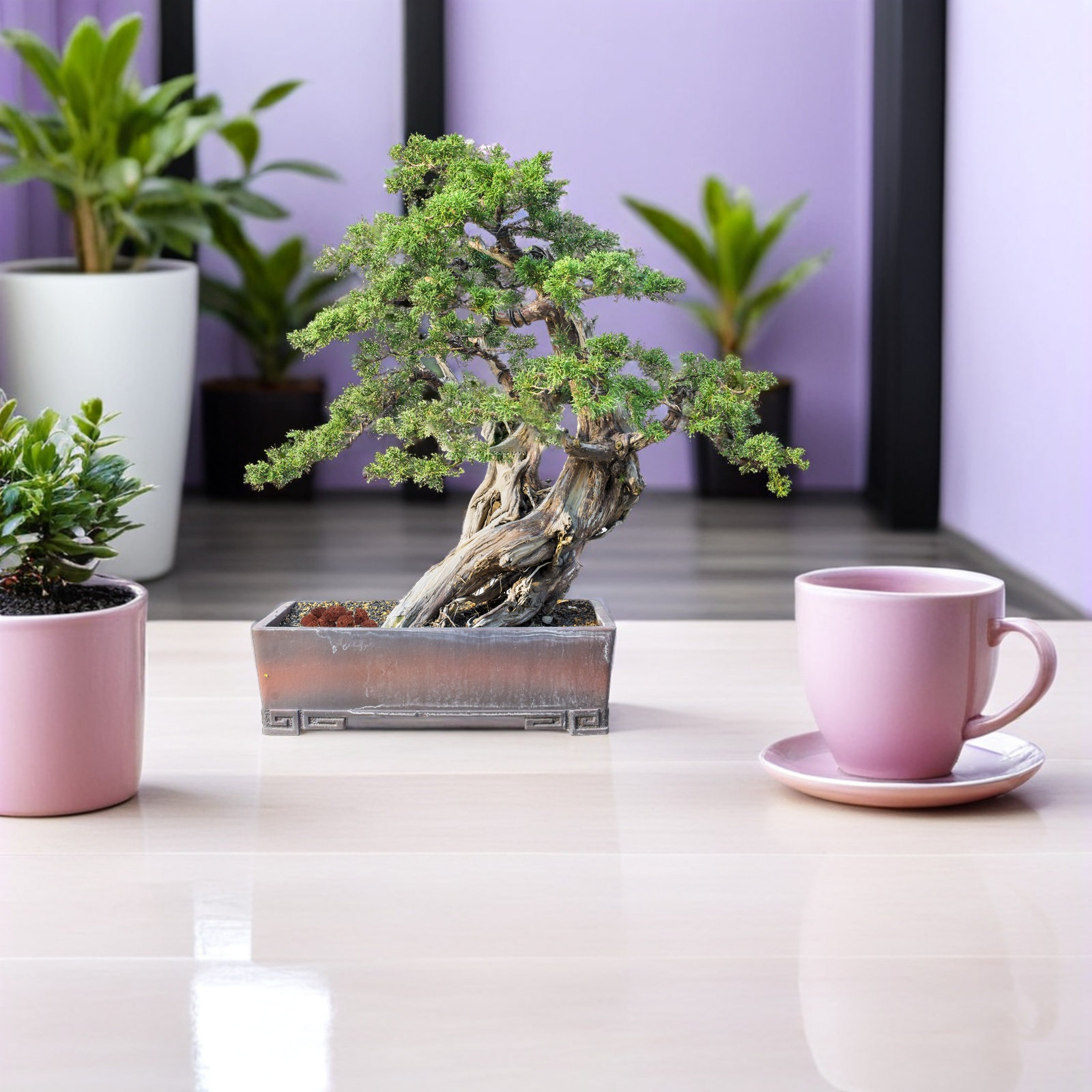 Lot de 1 grande pierre volcani - Aquarium Plant Red avis et prix