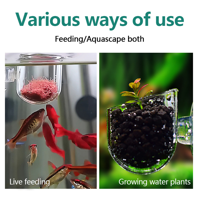 Pot de culture pour plantes aq - Aquarium Plant Utensils avis et prix