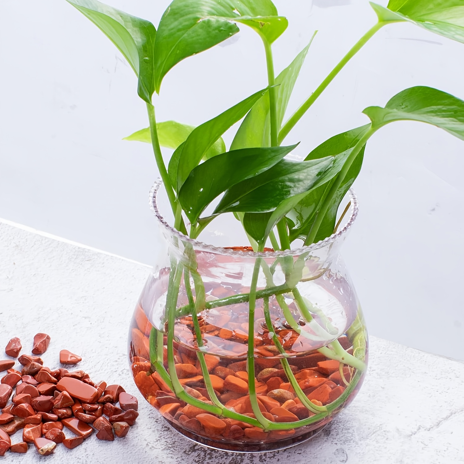 Pierre tombante de jaspe rouge - Aquarium Plant Red avis et prix