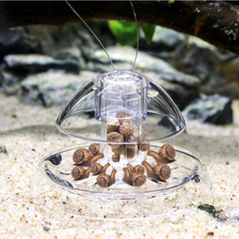 Nettoyeur d'aquarium en plasti - Planted Aquarium Cleaning avis et prix