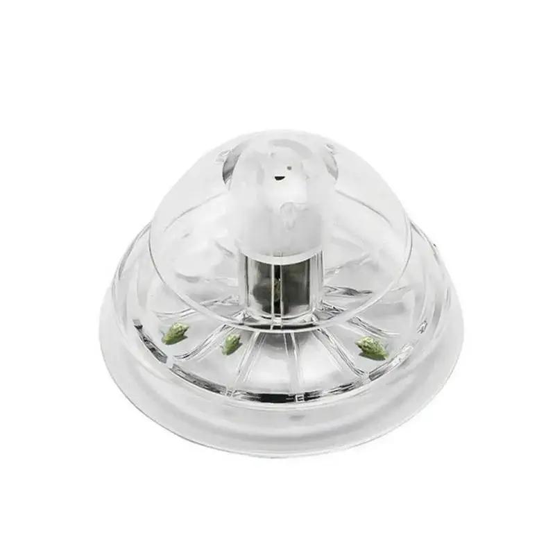 Nouvelle boîte piège à escargo - Planted Aquarium Cleaning avis et prix
