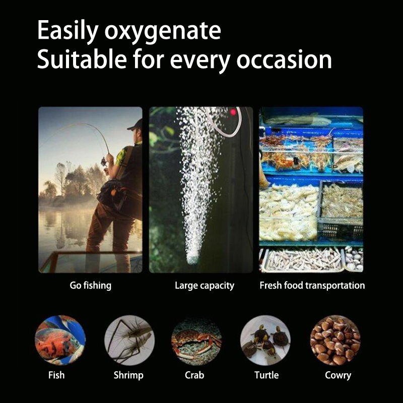 Kit de mini pompe à oxygène po - Aquarium Lily Pipe avis et prix