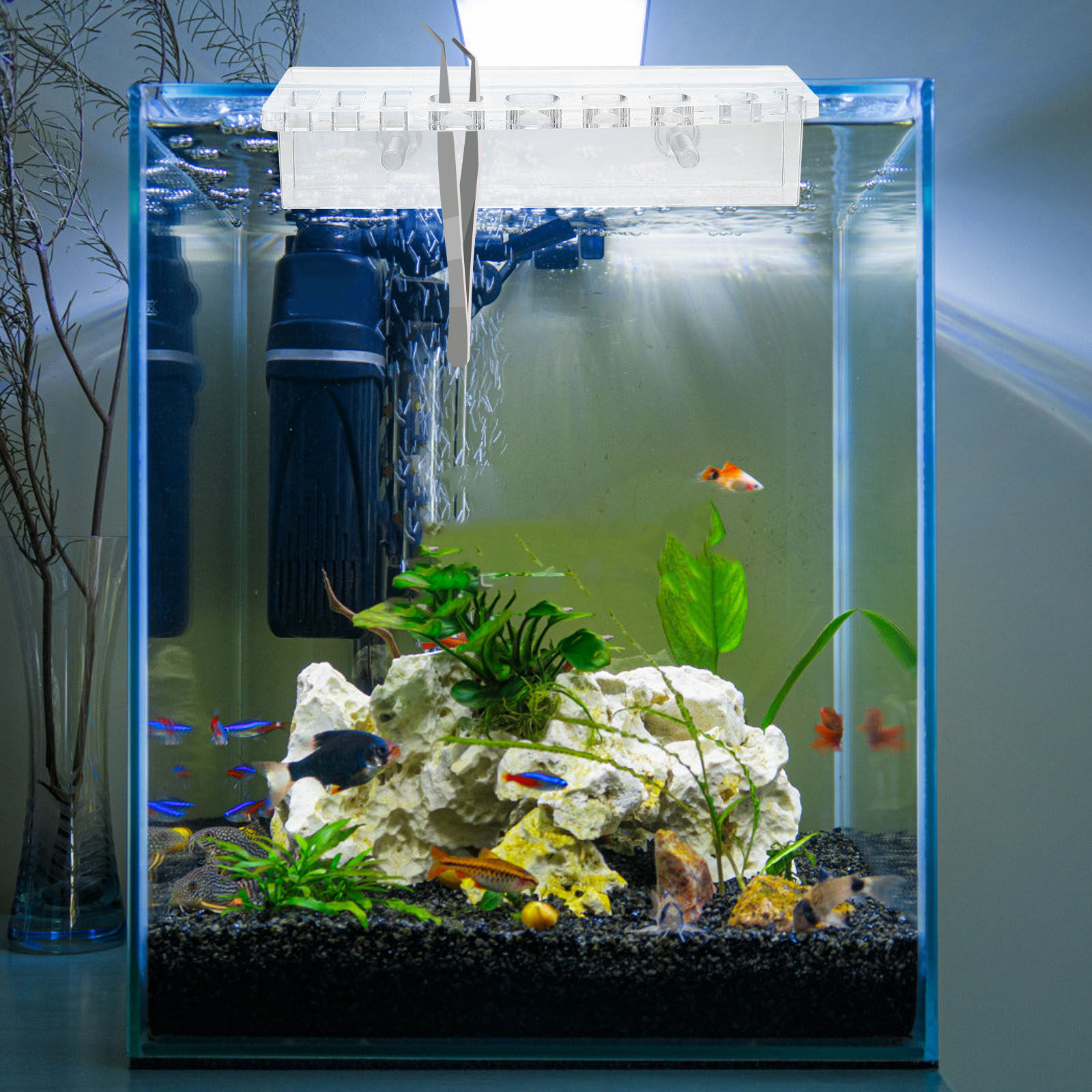 Support mural en acrylique pou - Planted Aquarium Maintenance avis et prix