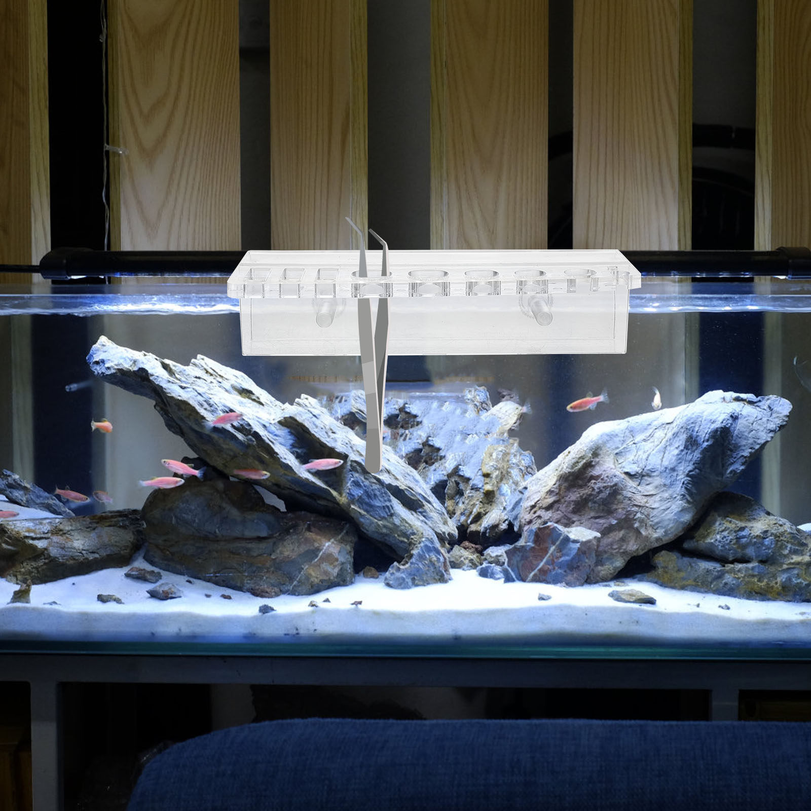Support mural en acrylique pou - Planted Aquarium Maintenance avis et prix