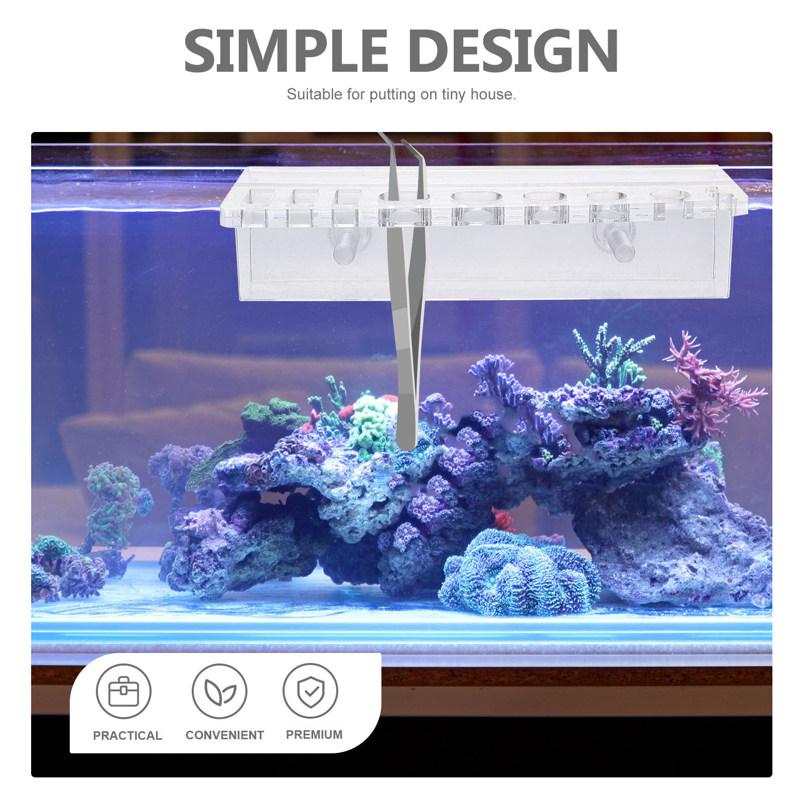 Support mural en acrylique pou - Planted Aquarium Maintenance avis et prix