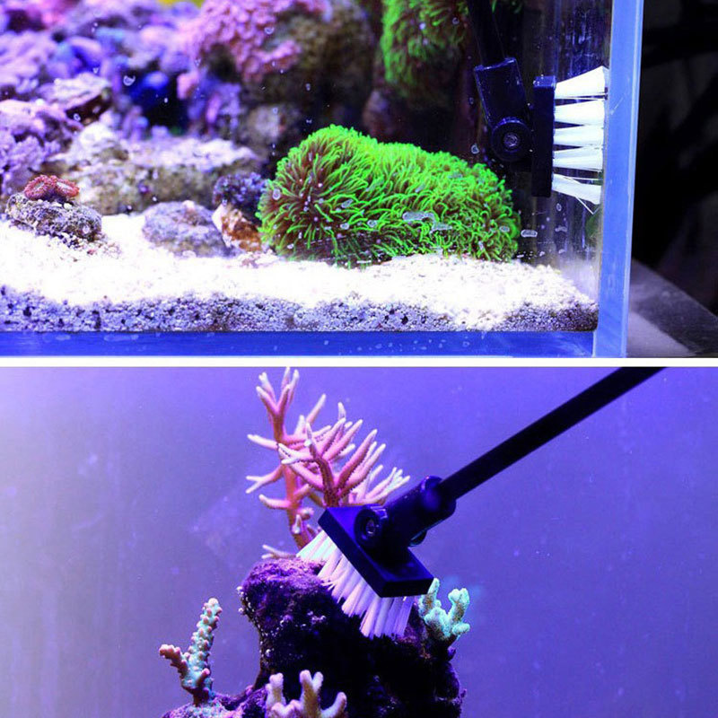 Brosse de nettoyage de pêche,  - Planted Aquarium Tools avis et prix