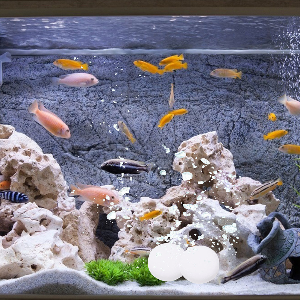 3 sachets de comprimés de CO2, - Aquarium Plant Nutrients avis et prix