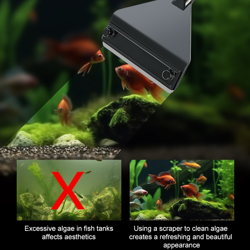 Dissolvant d'algues d'aquarium - Aquarium Plant Utensils avis et prix