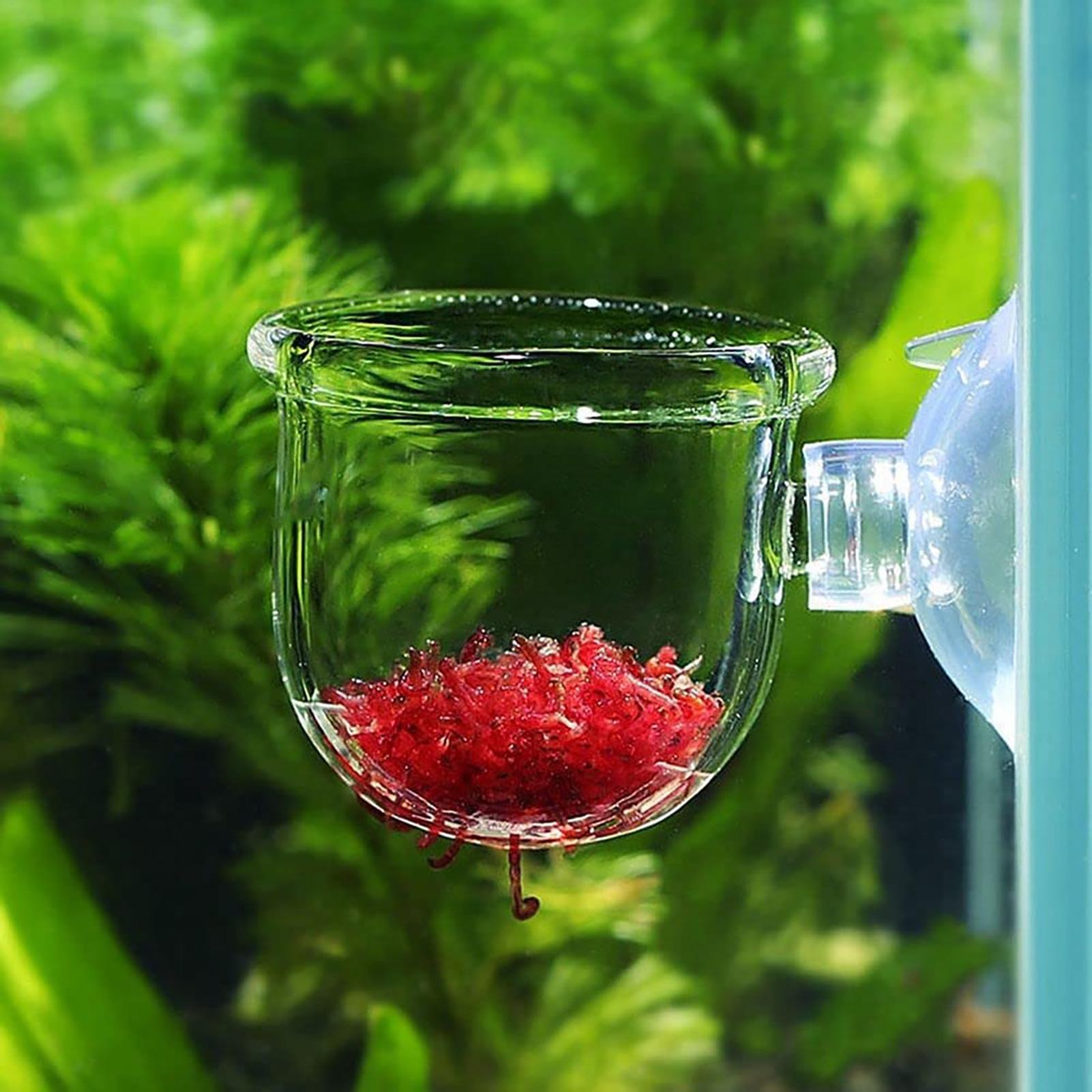 Pot de décoration pour aquariu - Aquarium Plant Utensils avis et prix