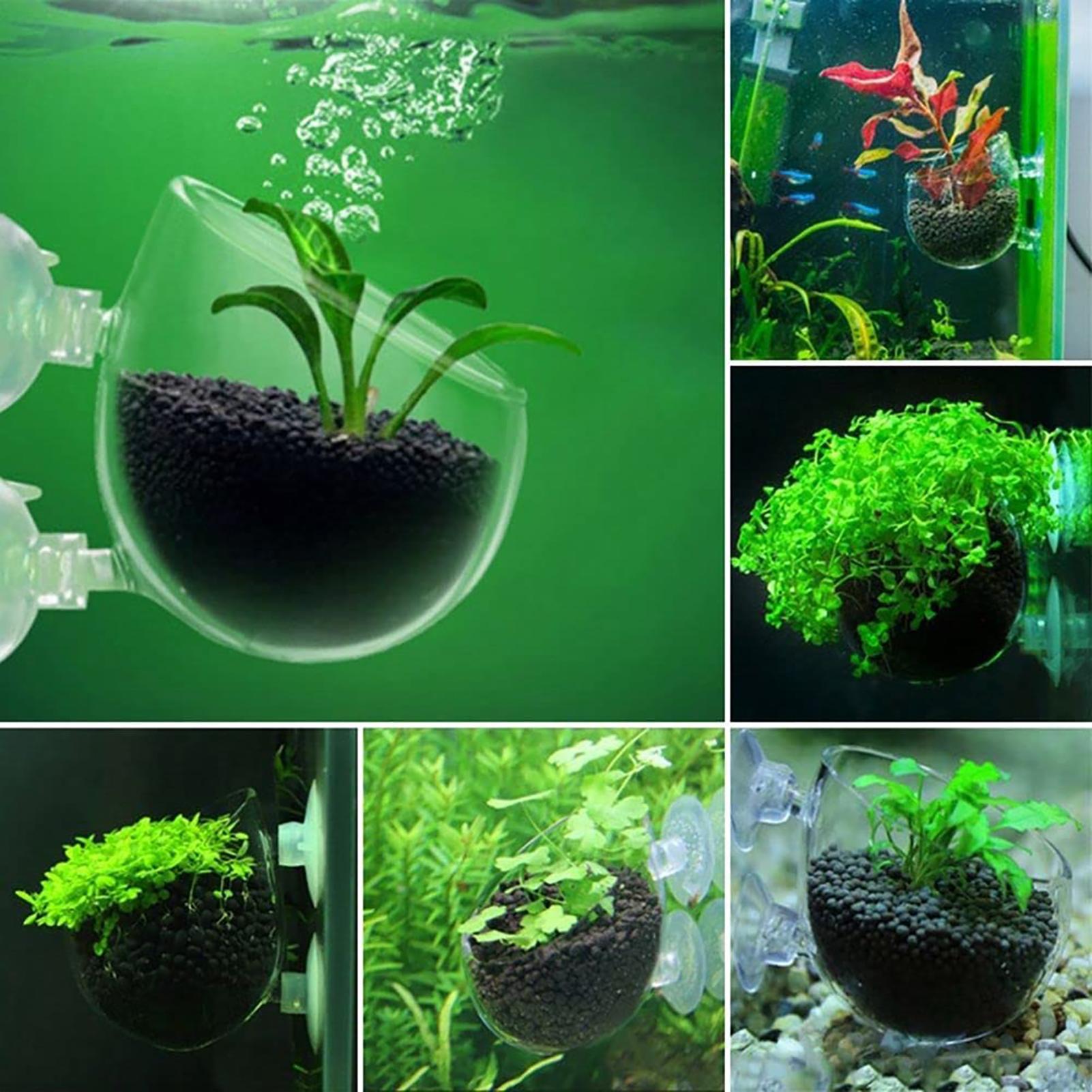 Pot de décoration pour aquariu - Aquarium Plant Utensils avis et prix
