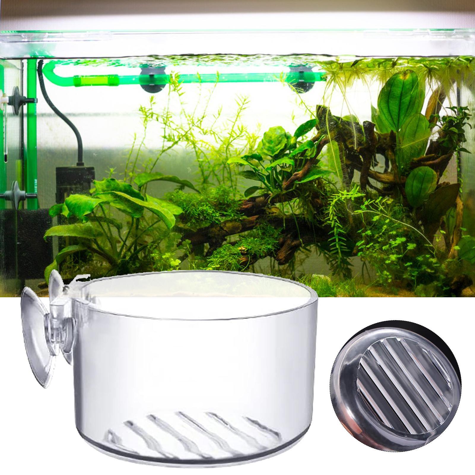 Pot de décoration pour aquariu - Aquarium Plant Utensils avis et prix