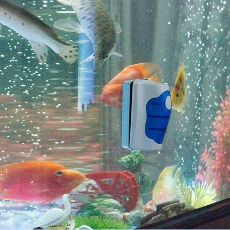 Nettoyeur de grattoir de verre - Planted Aquarium Cleaning avis et prix