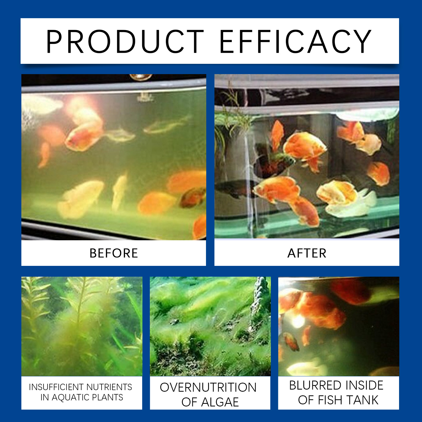 Chiarificateur d'eau d'aquariu - Planted Aquarium Cleaning avis et prix