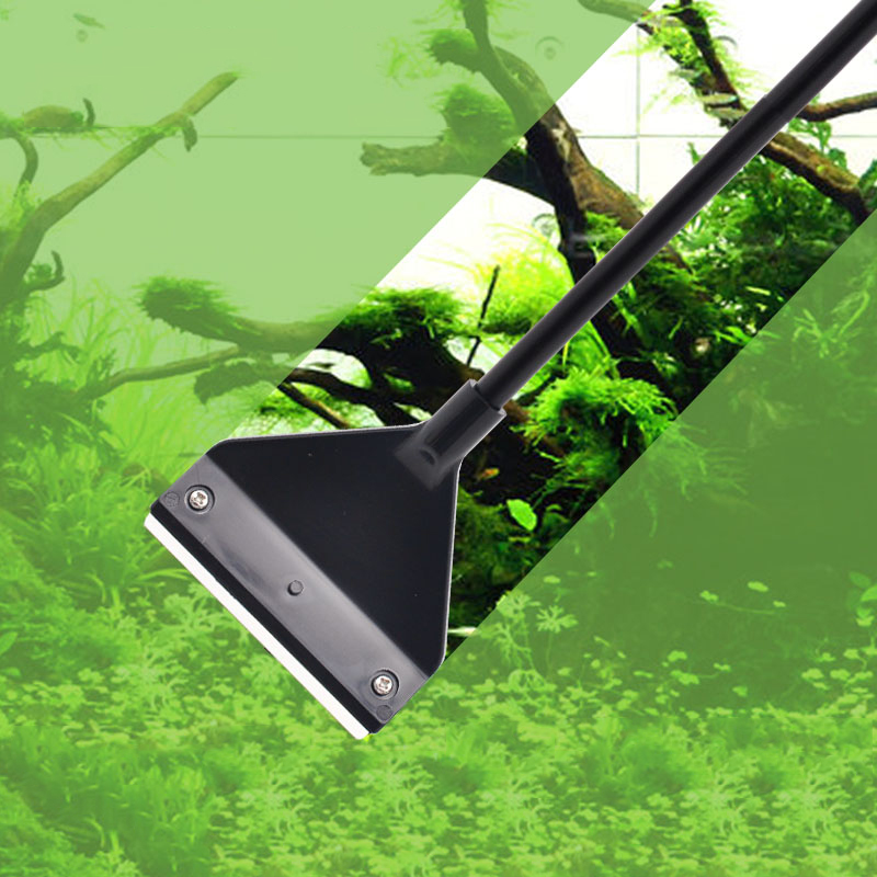 Dissolvant d'algues d'aquarium - Aquarium Plant Utensils avis et prix