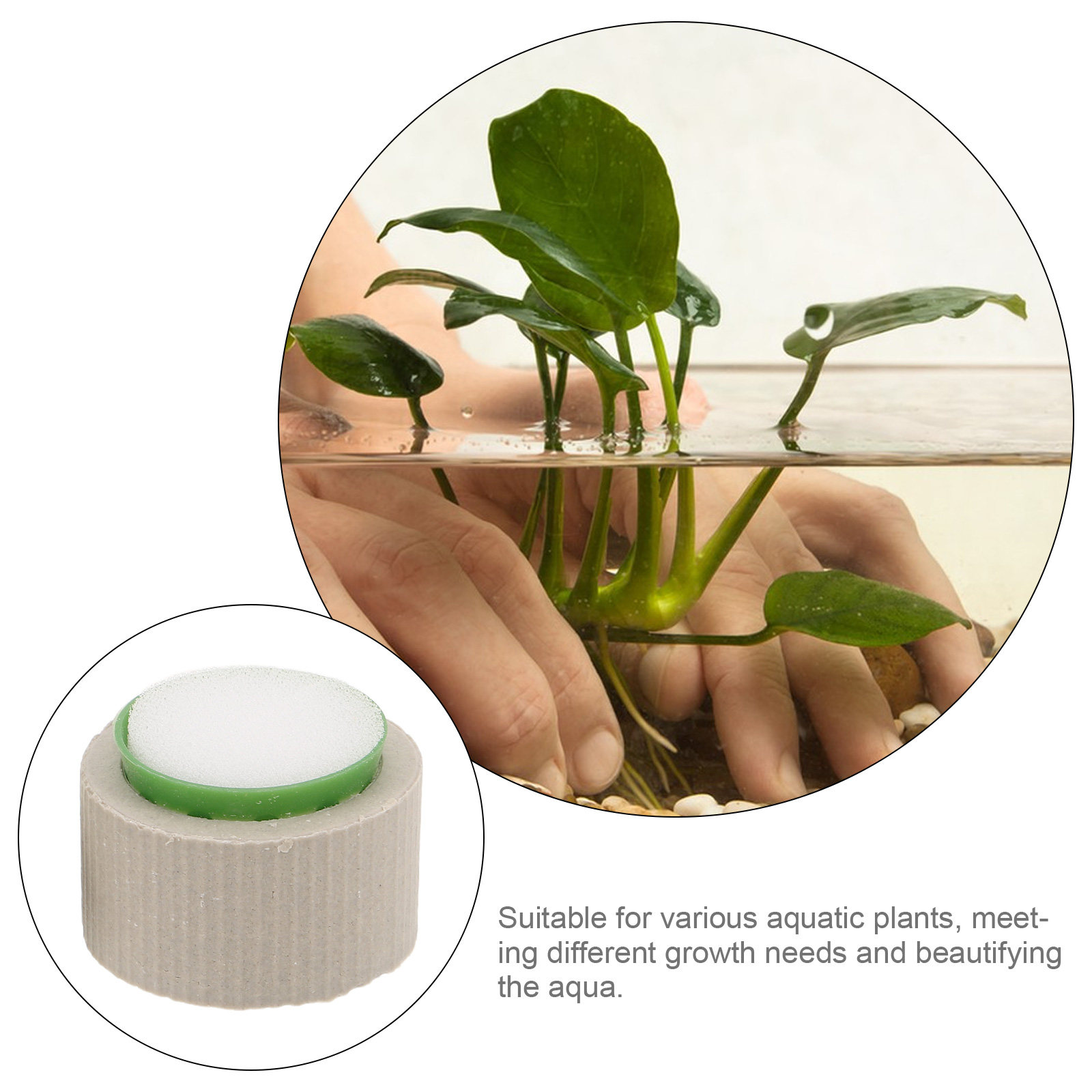 9 pièces de supports en cérami - Aquarium Plant Nutrients avis et prix