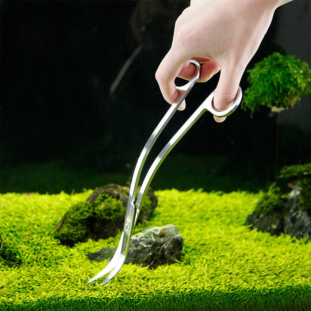 Accessoires d'aquarium en acie - Planted Aquarium Tools avis et prix