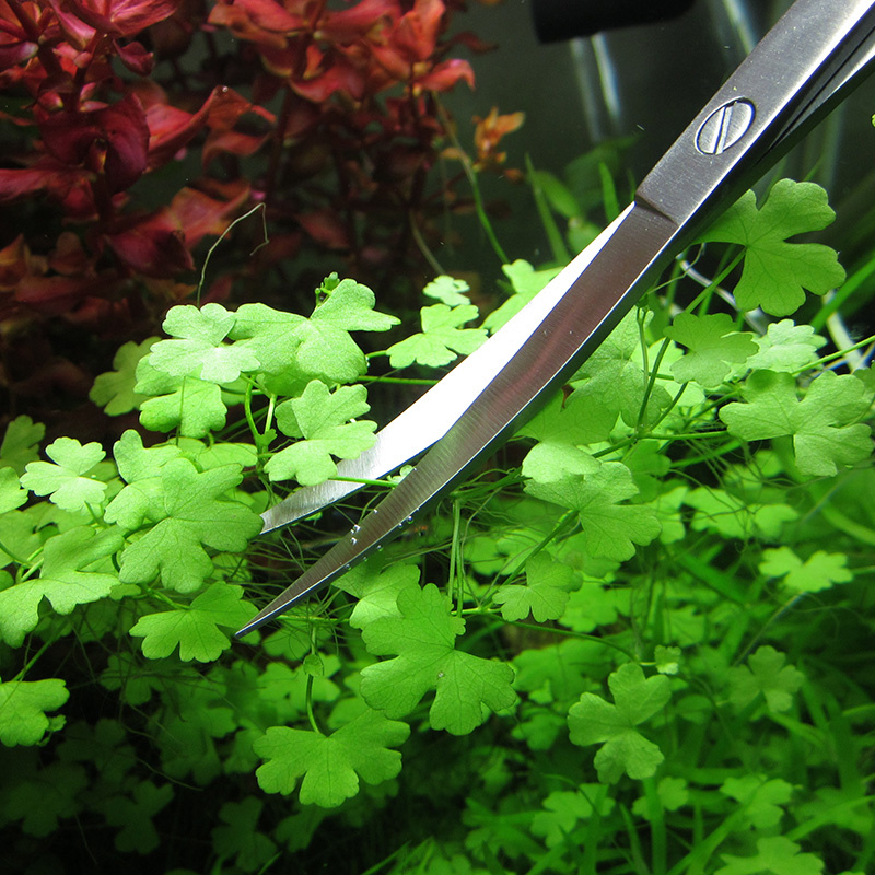 Accessoires d'aquarium en acie - Planted Aquarium Tools avis et prix