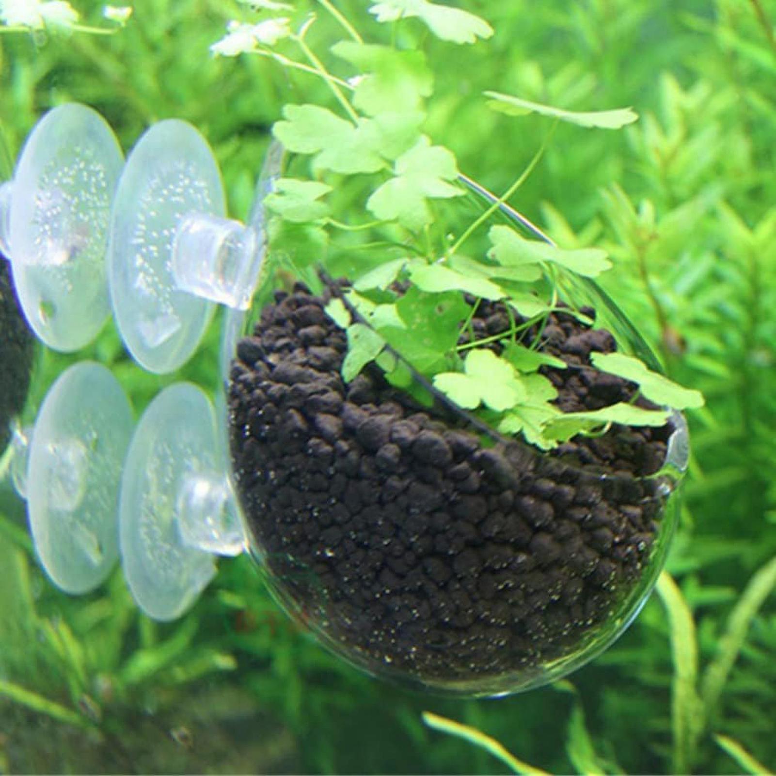 Pot de plantes en verre pour a - Planted Aquarium Maintenance avis et prix