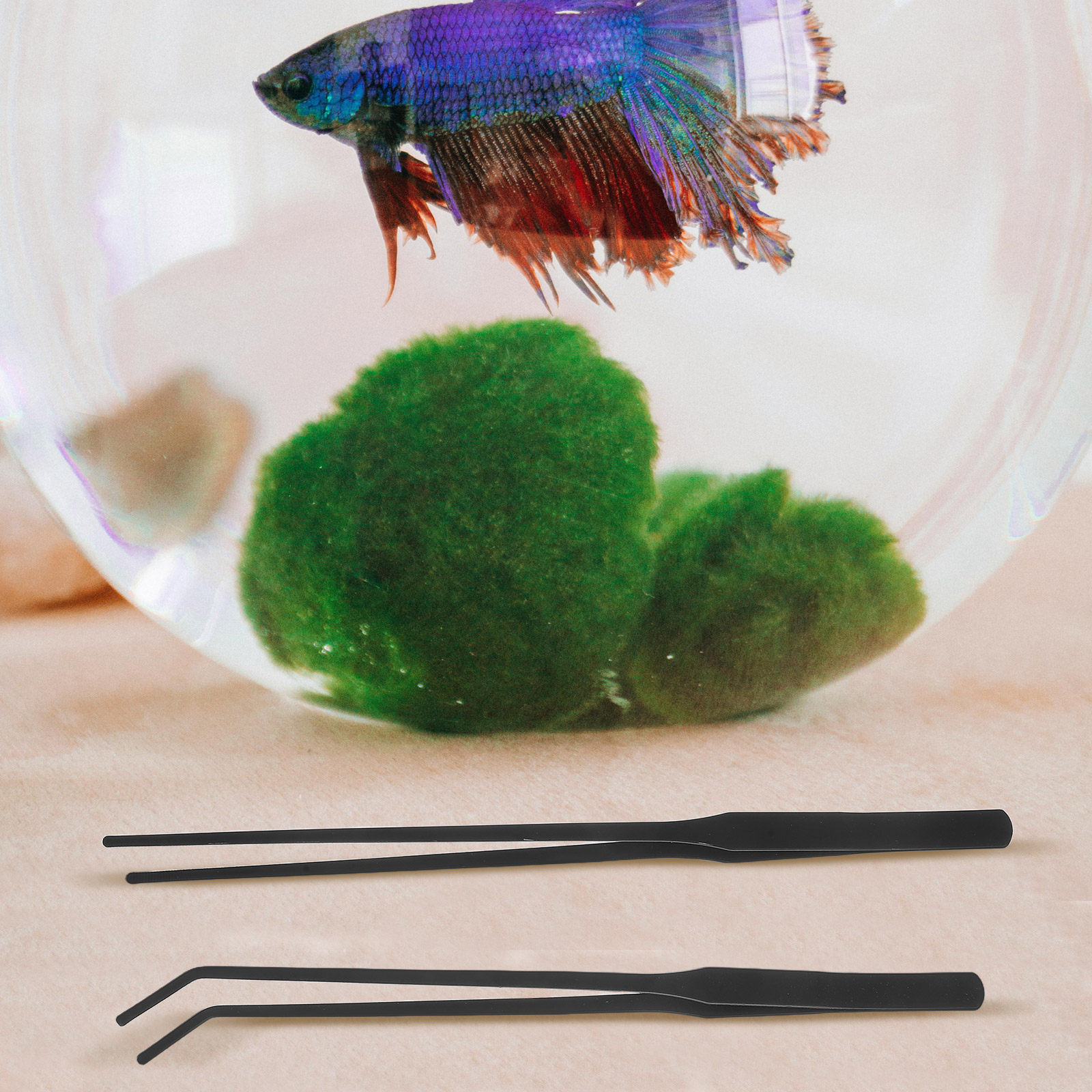 Pince à aquarium 4 pièces en a - Planted Aquarium Maintenance avis et prix