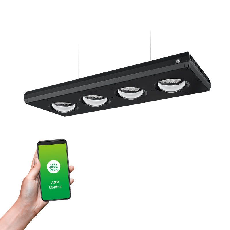 Lampe LED pour aquarium Week A - Planted Aquarium High Tech avis et prix
