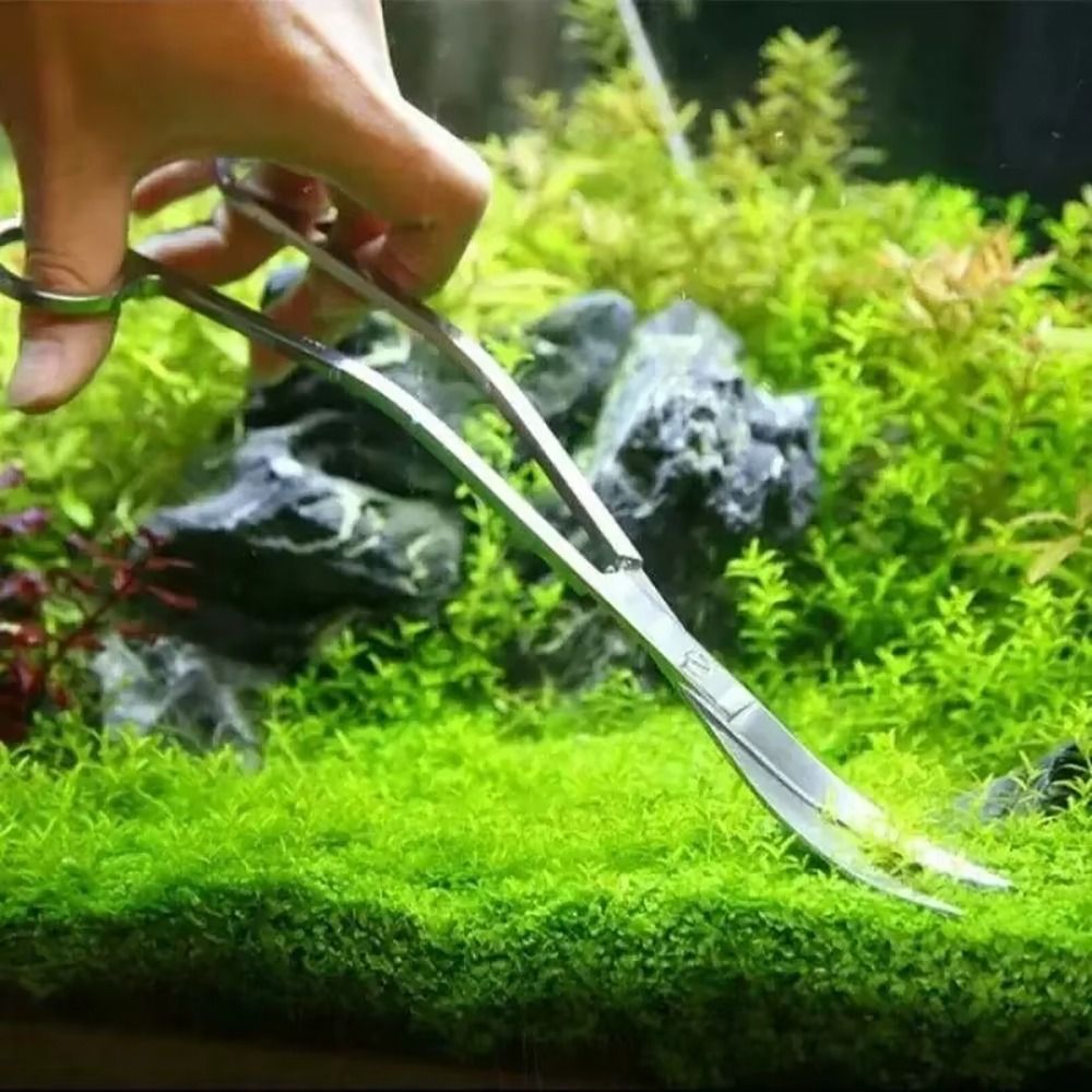 1 pièce Ciseaux d'aquarium en  - Planted Aquarium Tools avis et prix