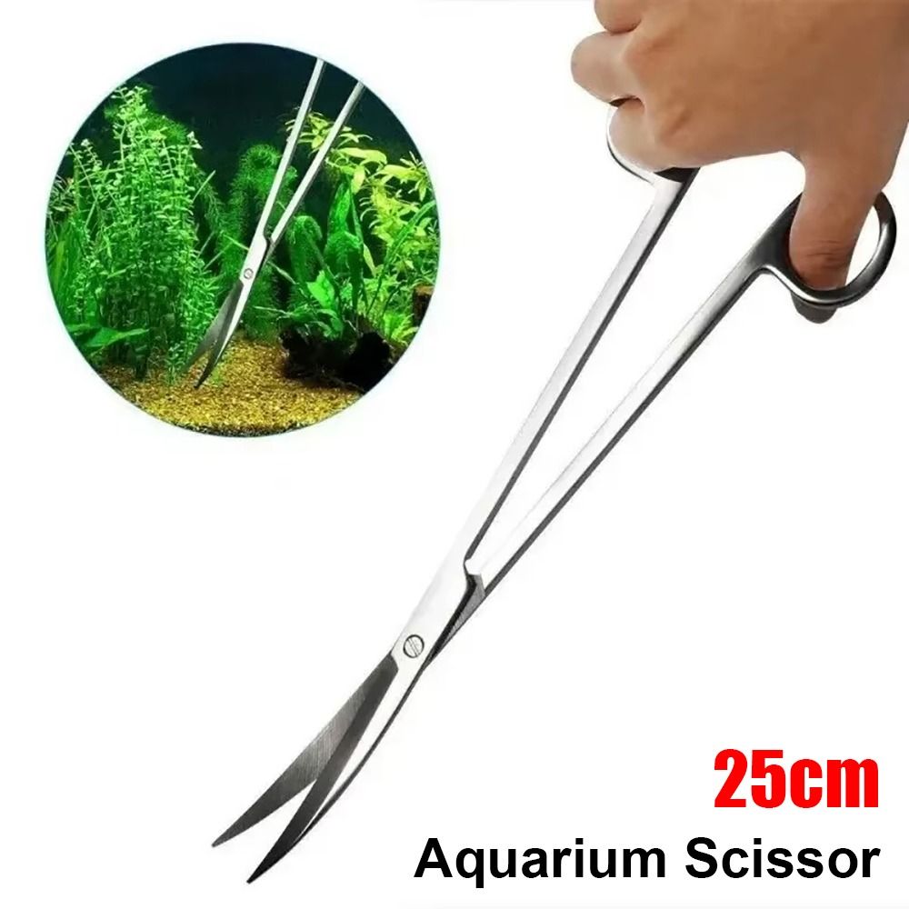1 pièce Ciseaux d'aquarium en  - Planted Aquarium Tools avis et prix