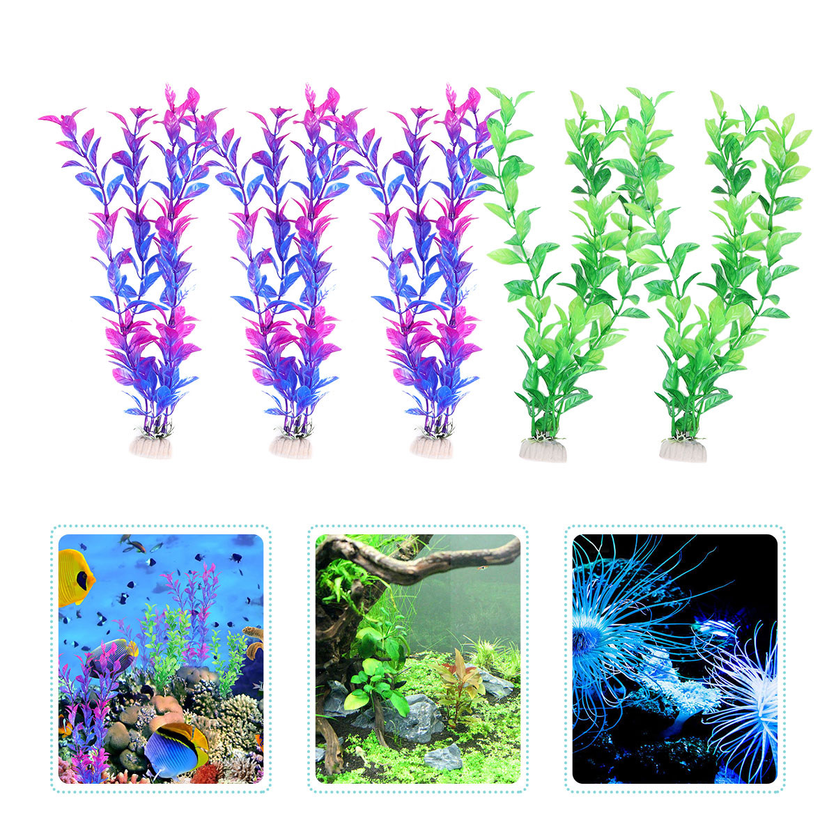 Ensemble de 10 plantes aquatiq - Planted Aquarium Maintenance avis et prix