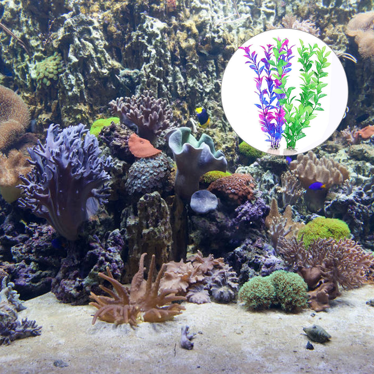 Ensemble de 10 plantes aquatiq - Planted Aquarium Maintenance avis et prix