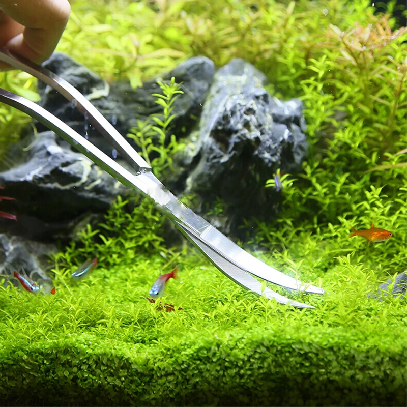 Outils de ciseaux d'aquarium,  - Planted Aquarium Tools avis et prix