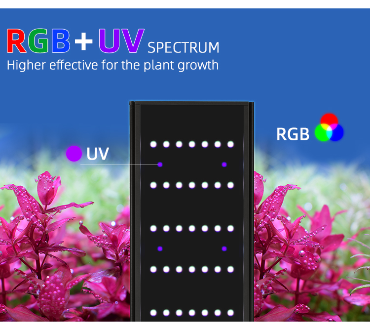WEconvex-Variateur et minuteri - Aquarium Plant Light avis et prix