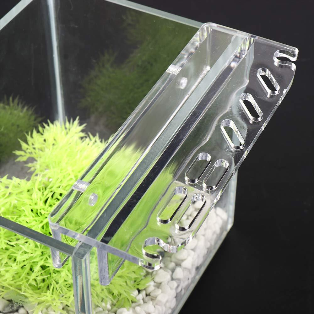 Support de rangement pour acce - Planted Aquarium Cleaning avis et prix