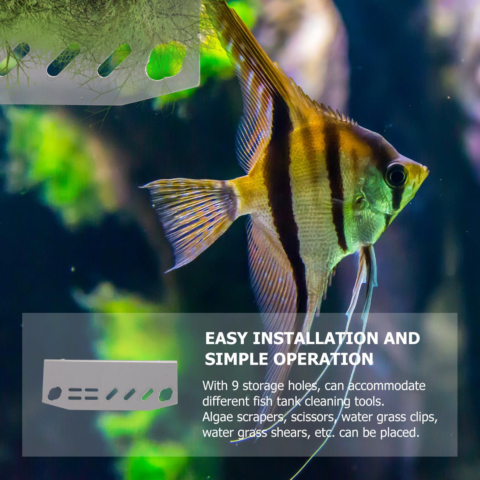 1 pièce Support d'organisation - Planted Aquarium Tools avis et prix