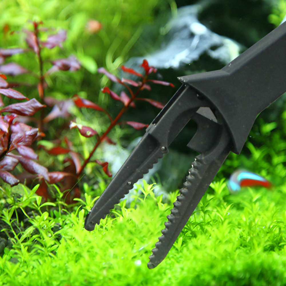 Pince à plantes aquatiques pou - Planted Aquarium Maintenance avis et prix