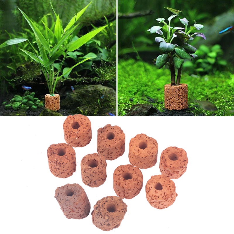 Lot de 10 anneaux de fixation  - Aquarium Plant Utensils avis et prix