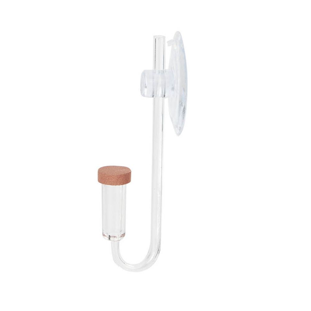 Mini Aquarium en acrylique, pl - Planted Aquarium Maintenance avis et prix