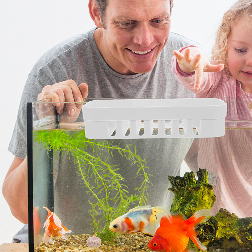 Support de plantes suspendu pe - Live Plant Aquarium Set Up avis et prix