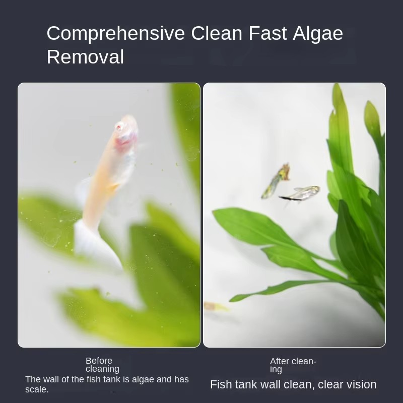 Mini brosse magnétique carrée, - Planted Aquarium Cleaning avis et prix
